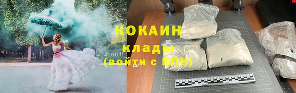 индика Богданович