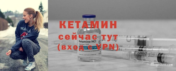 индика Богданович