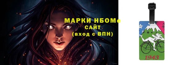 индика Богданович