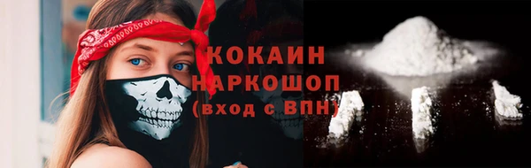 индика Богданович