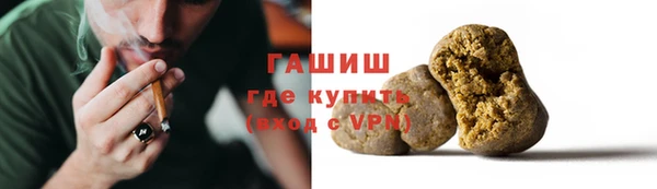 индика Богданович