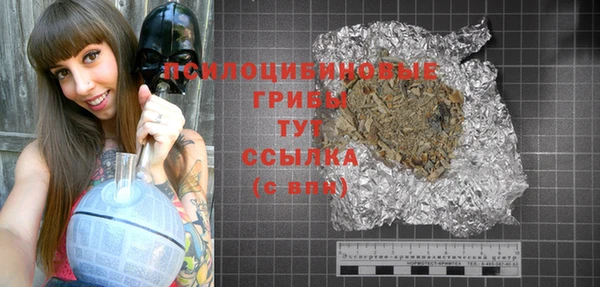 индика Богданович