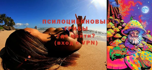 первитин Богородск