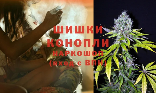 индика Богданович