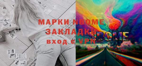 индика Богданович