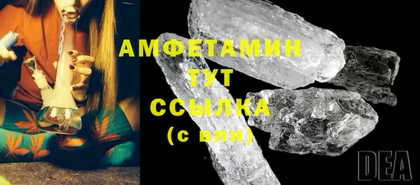 индика Богданович
