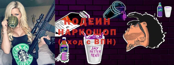 индика Богданович