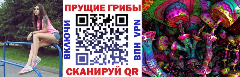 гидра зеркало Комсомольск-на-Амуре Псилоцибиновые грибы мухоморы